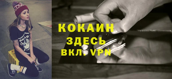 молекула духа Алексин