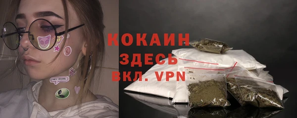 молекула духа Алексин