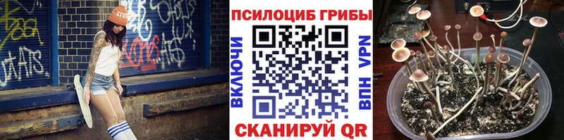 Псилоцибиновые грибы Cubensis  Спасск-Рязанский 