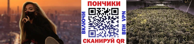 Бошки Шишки Amnesia  купить   Спасск-Рязанский 